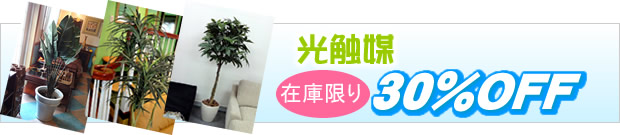 光触媒、在庫限り30%OFF